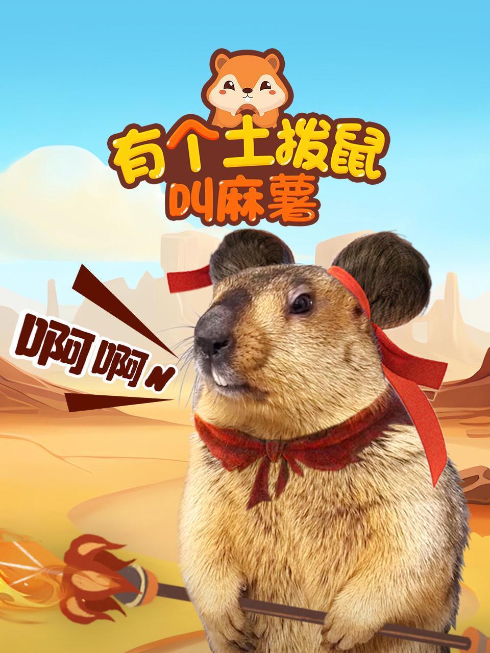 有个土拨鼠叫麻薯