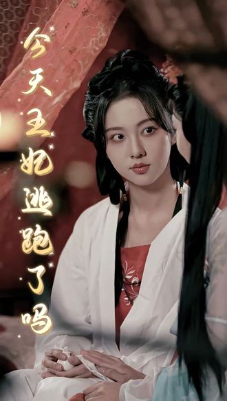 今天王妃逃跑了吗