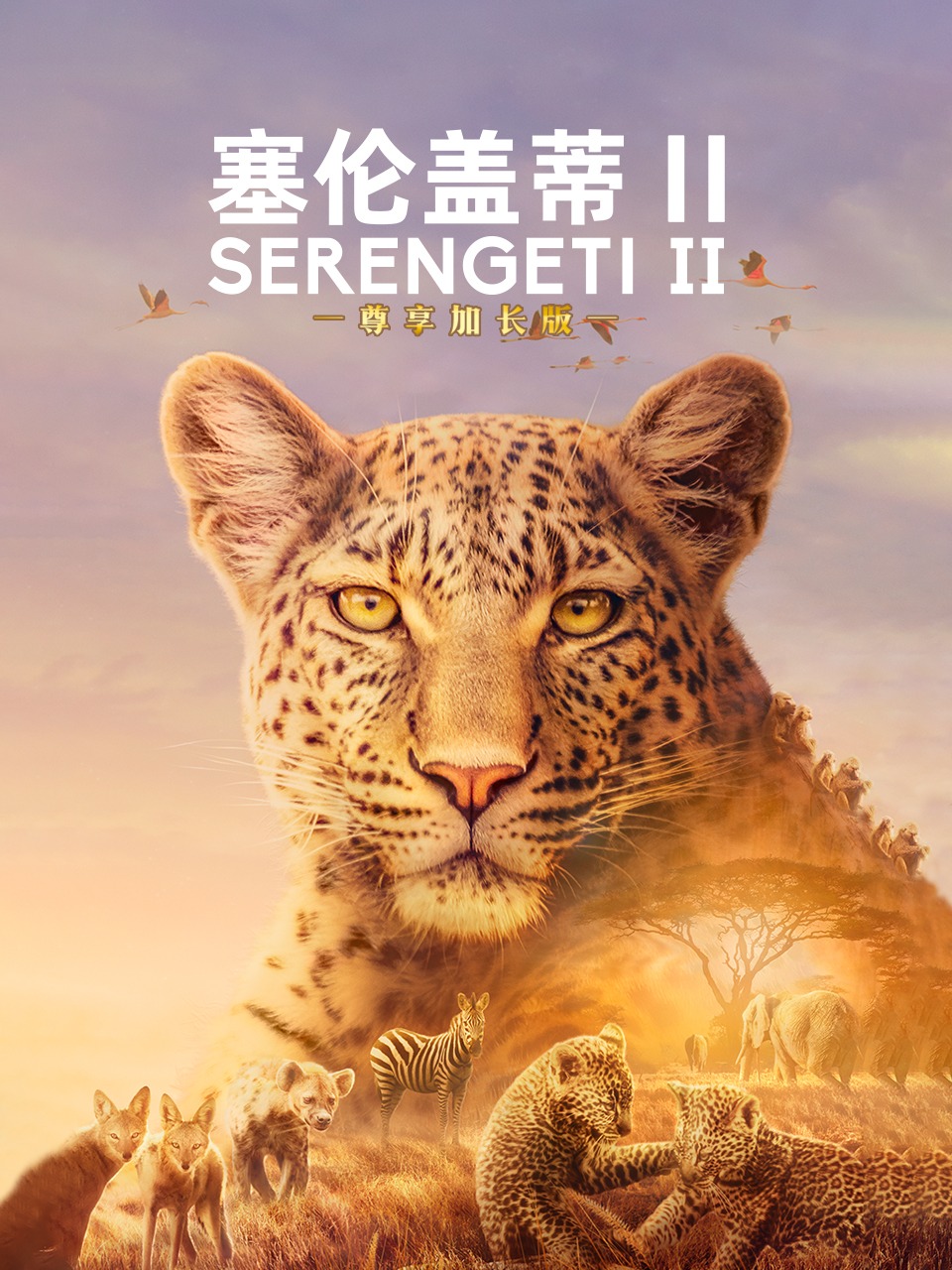 塞伦盖蒂第2季尊享加长版