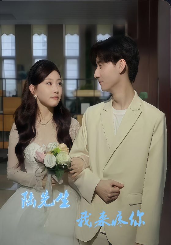 陆先生我来疼你