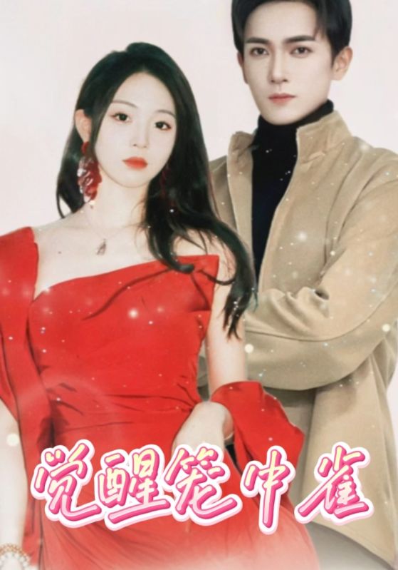 我成了闪婚老公的金丝雀