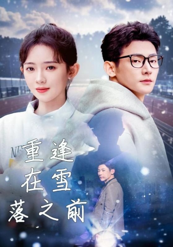 重逢在雪落之前