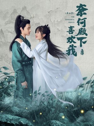 奈何殿下喜欢我第2季