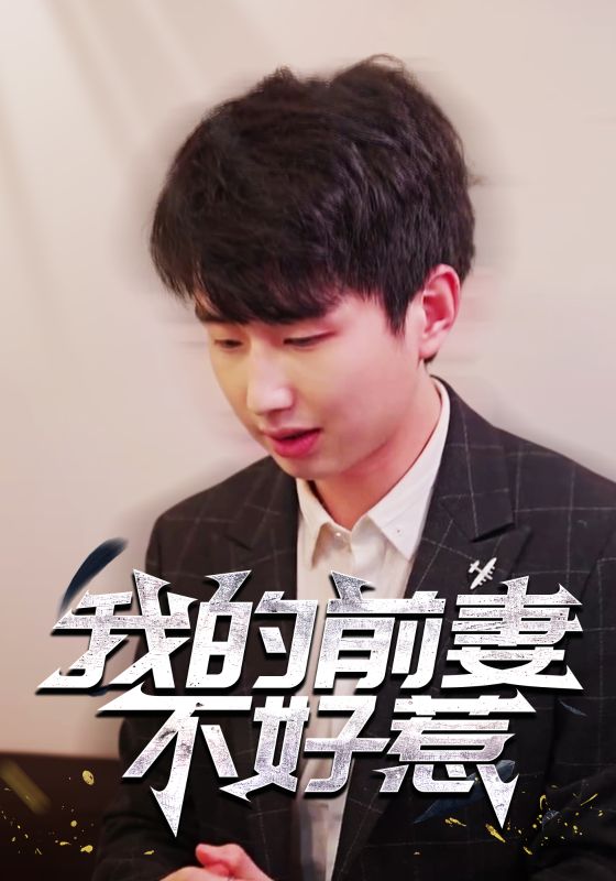 我的前妻不好惹