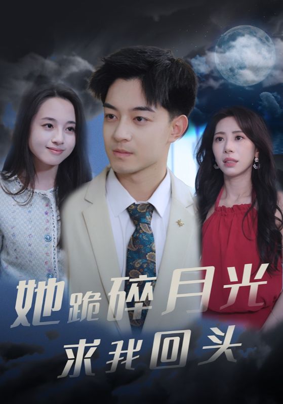 她跪碎月光求我回头