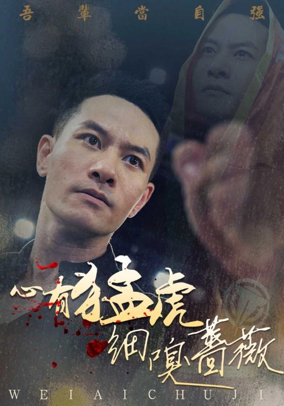 心有猛虎嗅蔷薇