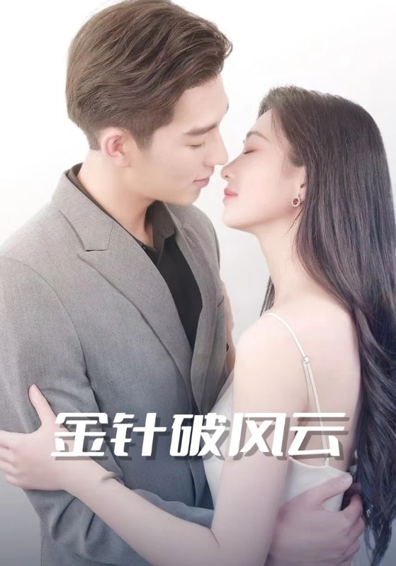 金针破风云