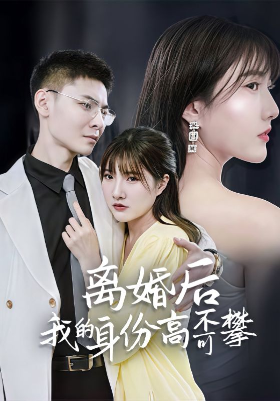 离婚后我的身份高不可攀