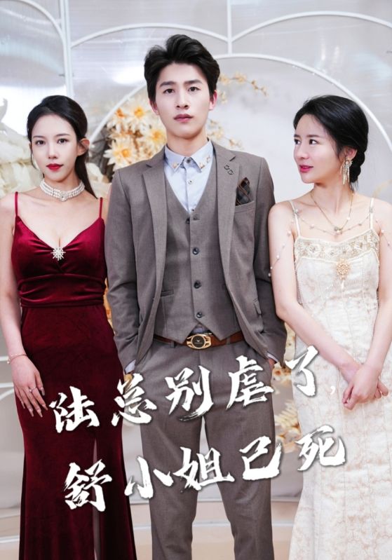 陆总别虐了，舒小姐已死