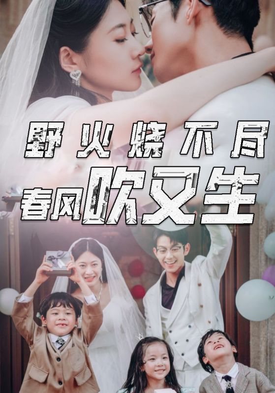 野火烧不尽微风吹又生