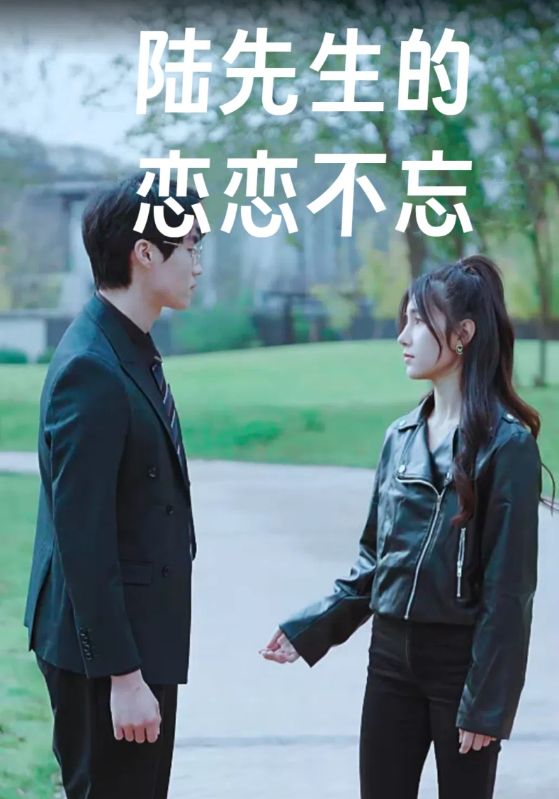 陆先生的恋恋不忘