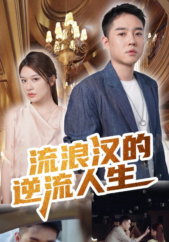 赘婿之流浪汉的逆袭人生