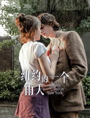 纽约的一个雨天（普通话）