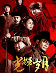 光辉岁月（2013）