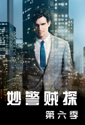 妙警贼探第6季