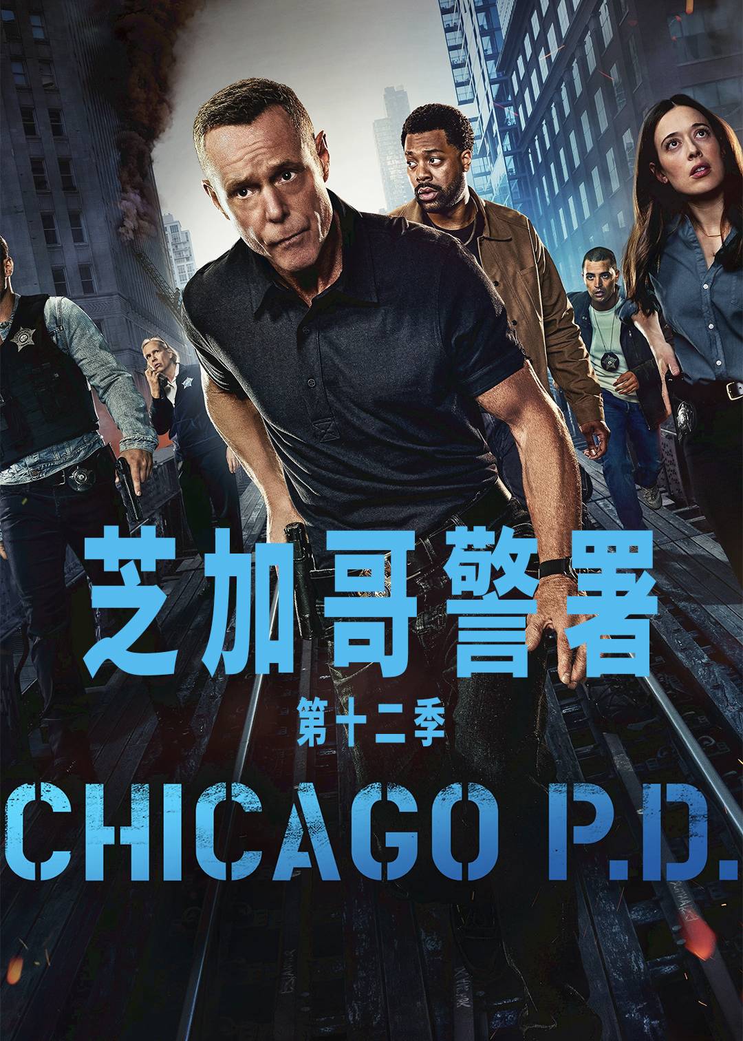 芝加哥警署第12季