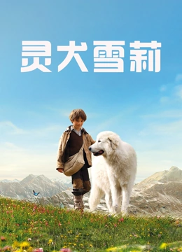 灵犬雪莉普通话