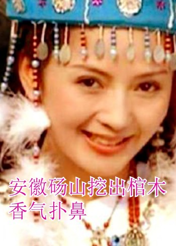 安徽砀山挖出棺木香气扑鼻