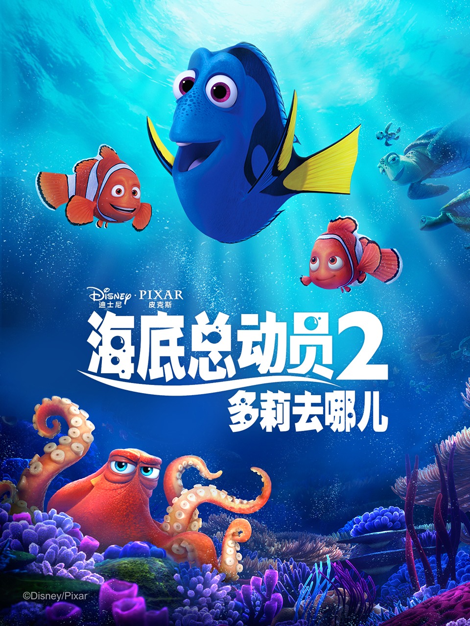 海底总动员2多莉去哪儿