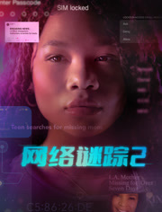 网络谜踪2（普通话）