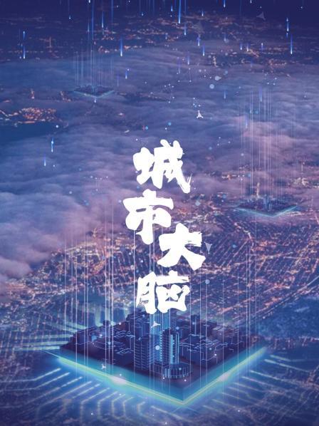 城市大脑