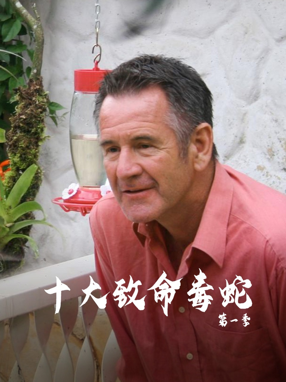 十大致命毒蛇第1季