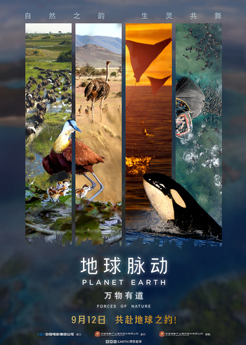 地球脉动万物有道