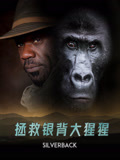 拯救银背大猩猩