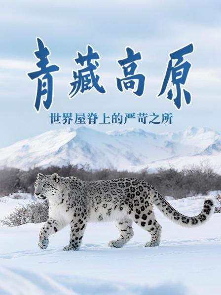 青藏高原世界屋脊上的严苛之所