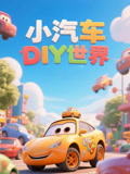 小汽车DIY世界