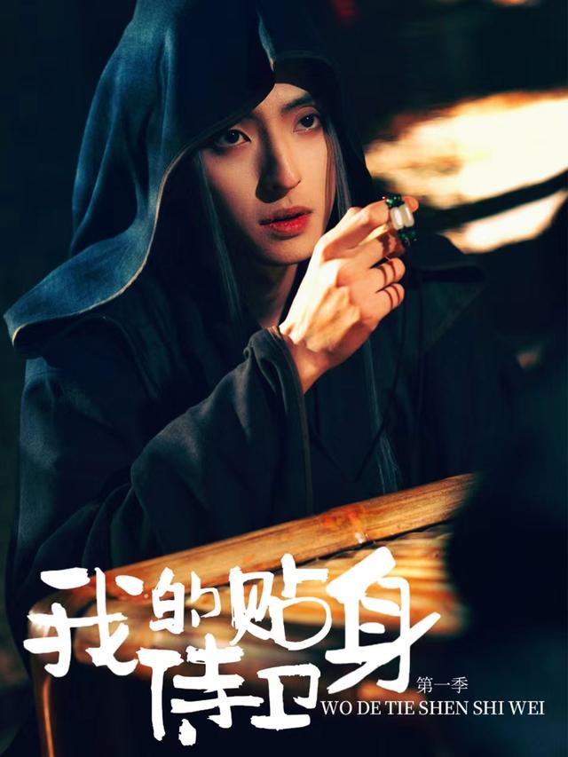 我的贴身侍卫第1季