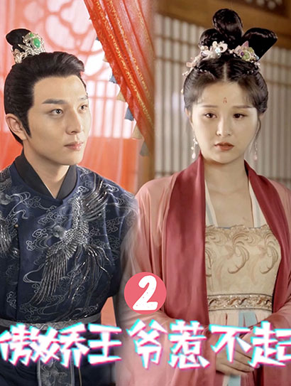 傲娇王爷惹不起第2季
