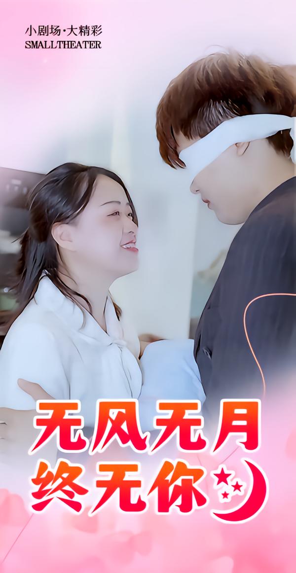 无风无月终无你