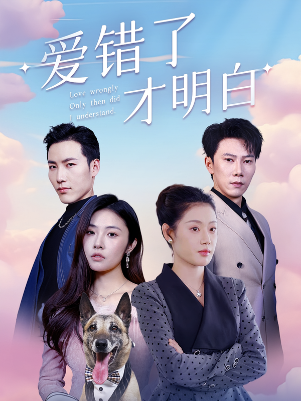 爱错了才明白