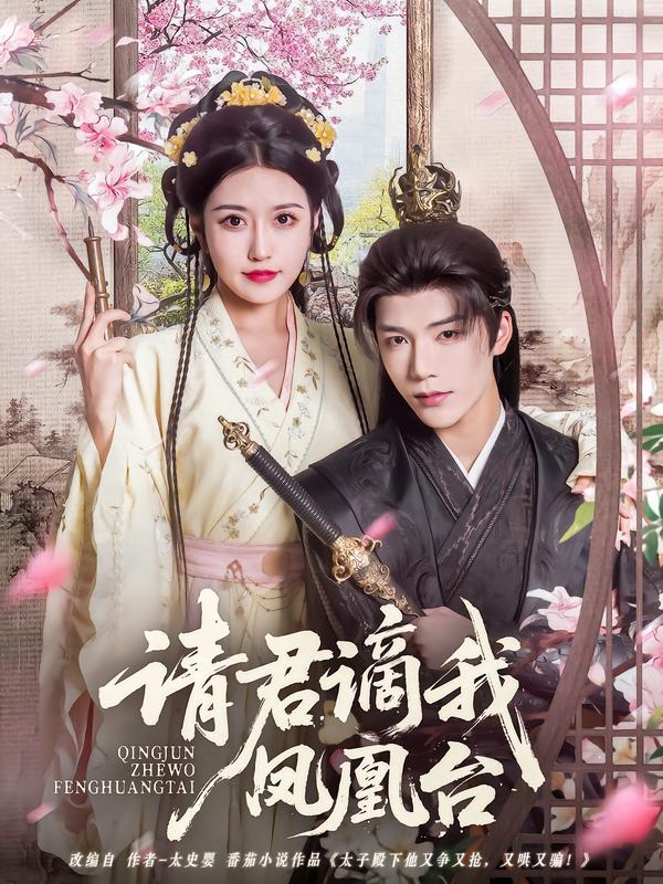 请君谪我凤凰台湾