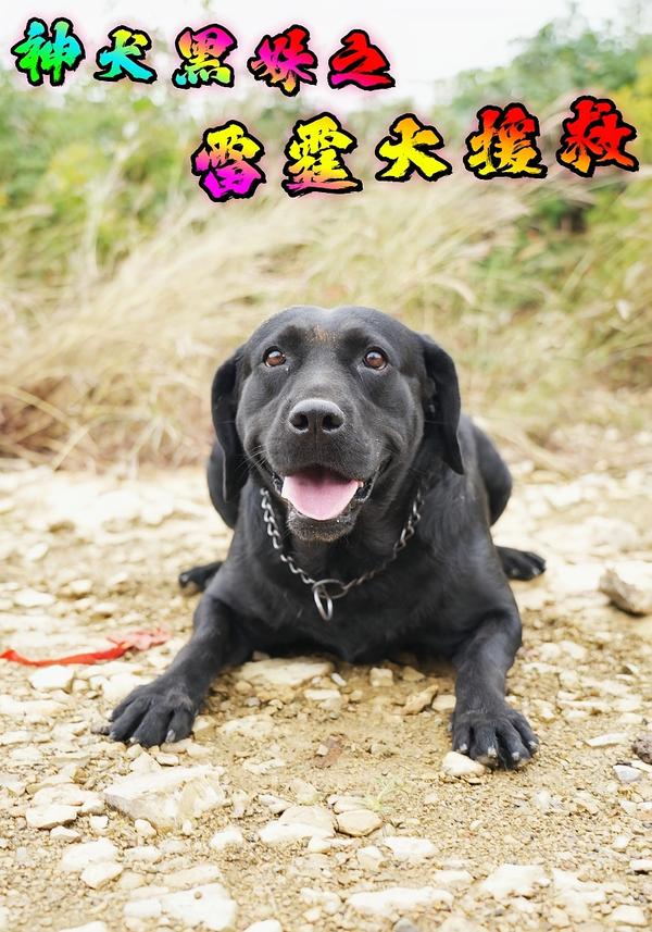 神犬黑妹之雷霆大援救