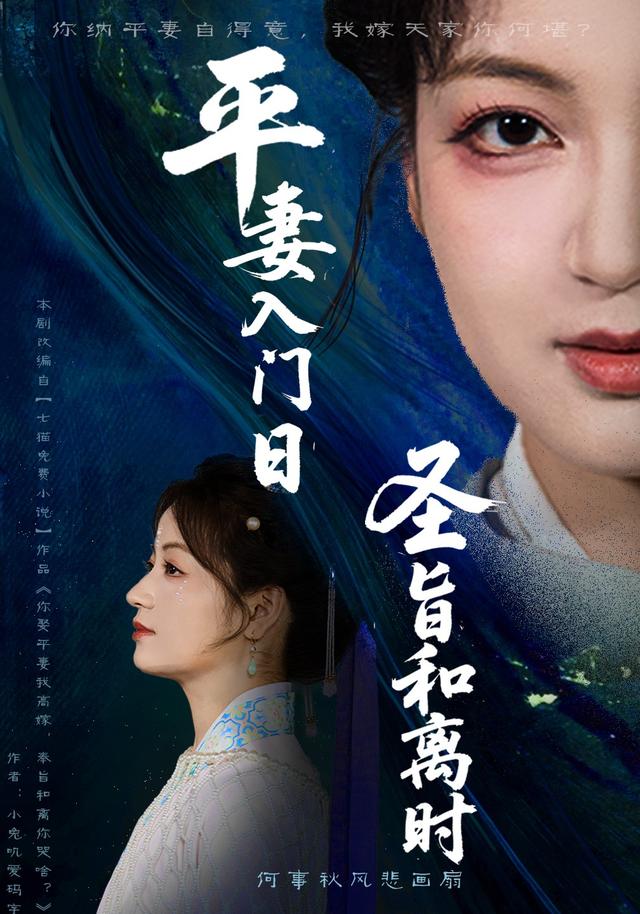 平妻入门日语圣旨和离时