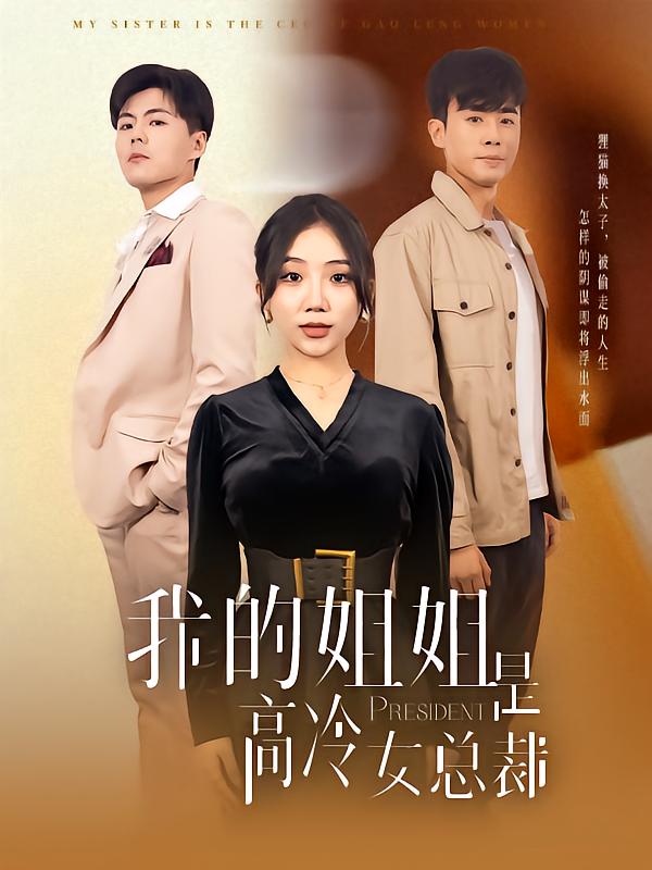 我的姐姐是高冷女总裁