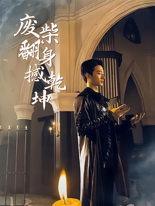 废柴翻身撼乾坤