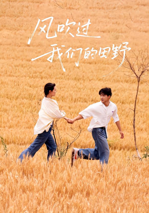 风吹过我们的田野