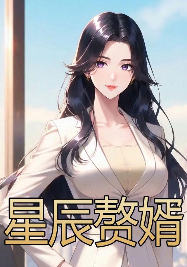 星辰赘婿