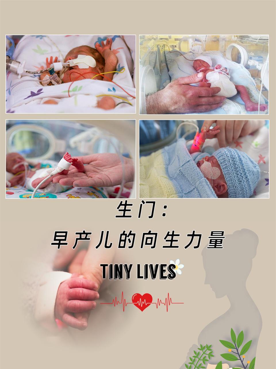 生门早产儿的向生力量