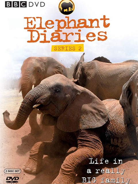 大象日语记第2季