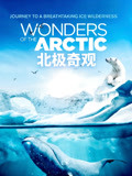 北极奇观