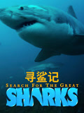 寻鲨记