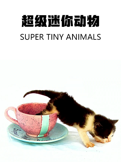超级迷你动物第2季