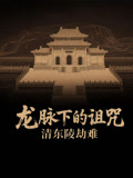 龙脉下的诅咒清东陵劫难