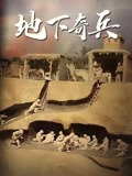 地下奇兵