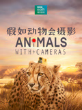 假如动物会摄影国语版
