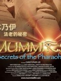 木乃伊法老的秘密